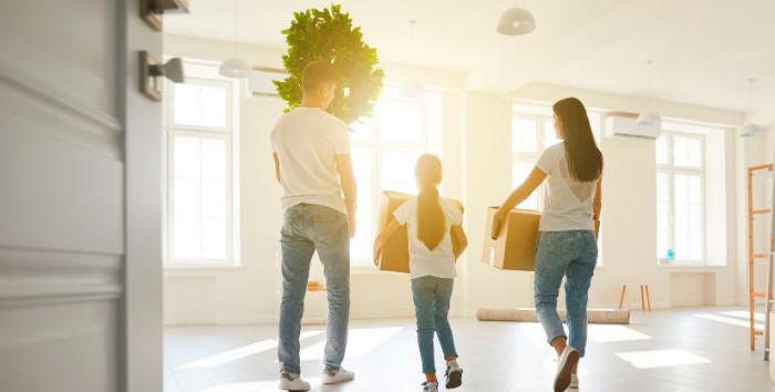 Mudanzas 2025: Las tendencias que están transformando el sector