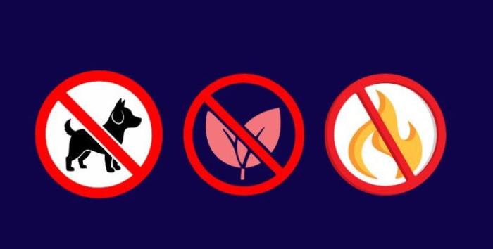 ¿Qué no embalar en una mudanza?